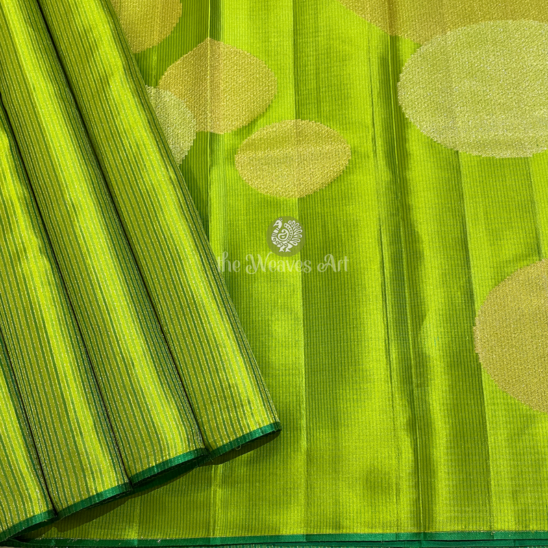 No Border Kanchi Pattu Saree